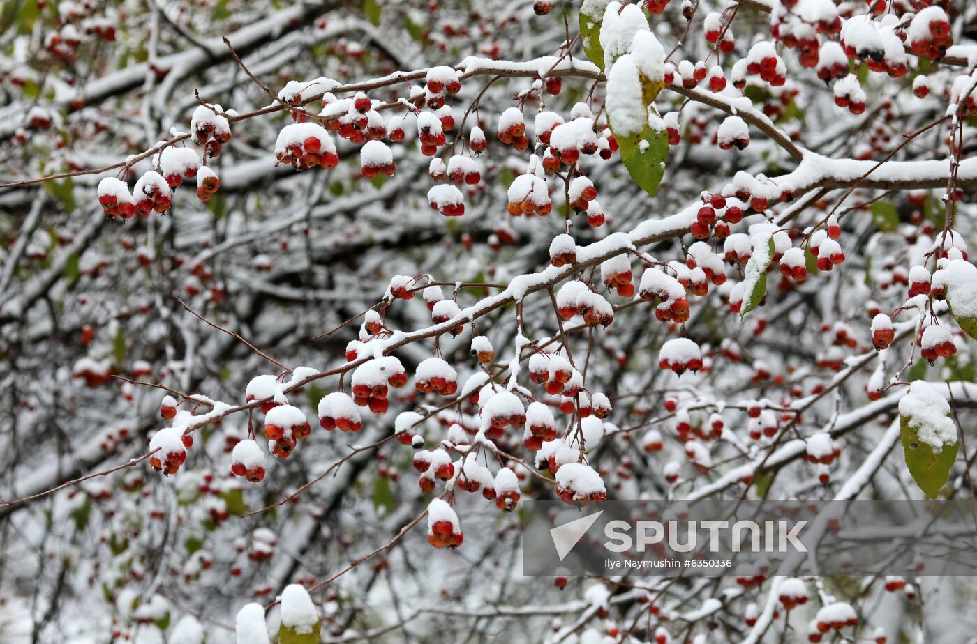 Russia Snowfall