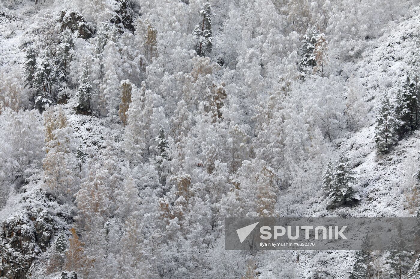 Russia Snowfall