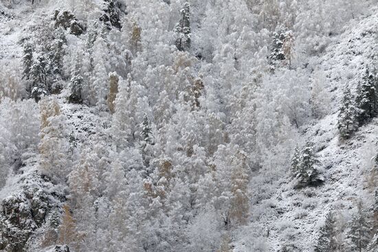 Russia Snowfall