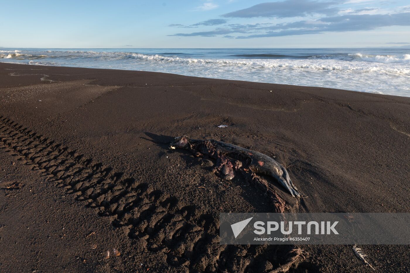 Russia Kamchatka Pacific Ocean Pollution