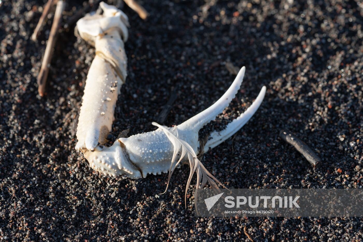 Russia Kamchatka Pacific Ocean Pollution
