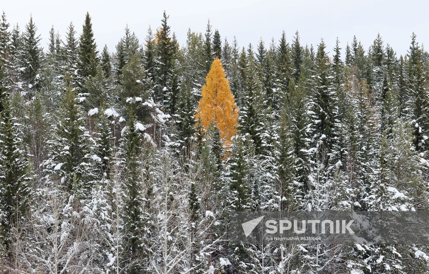Russia Snowfall