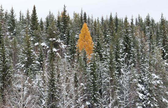 Russia Snowfall