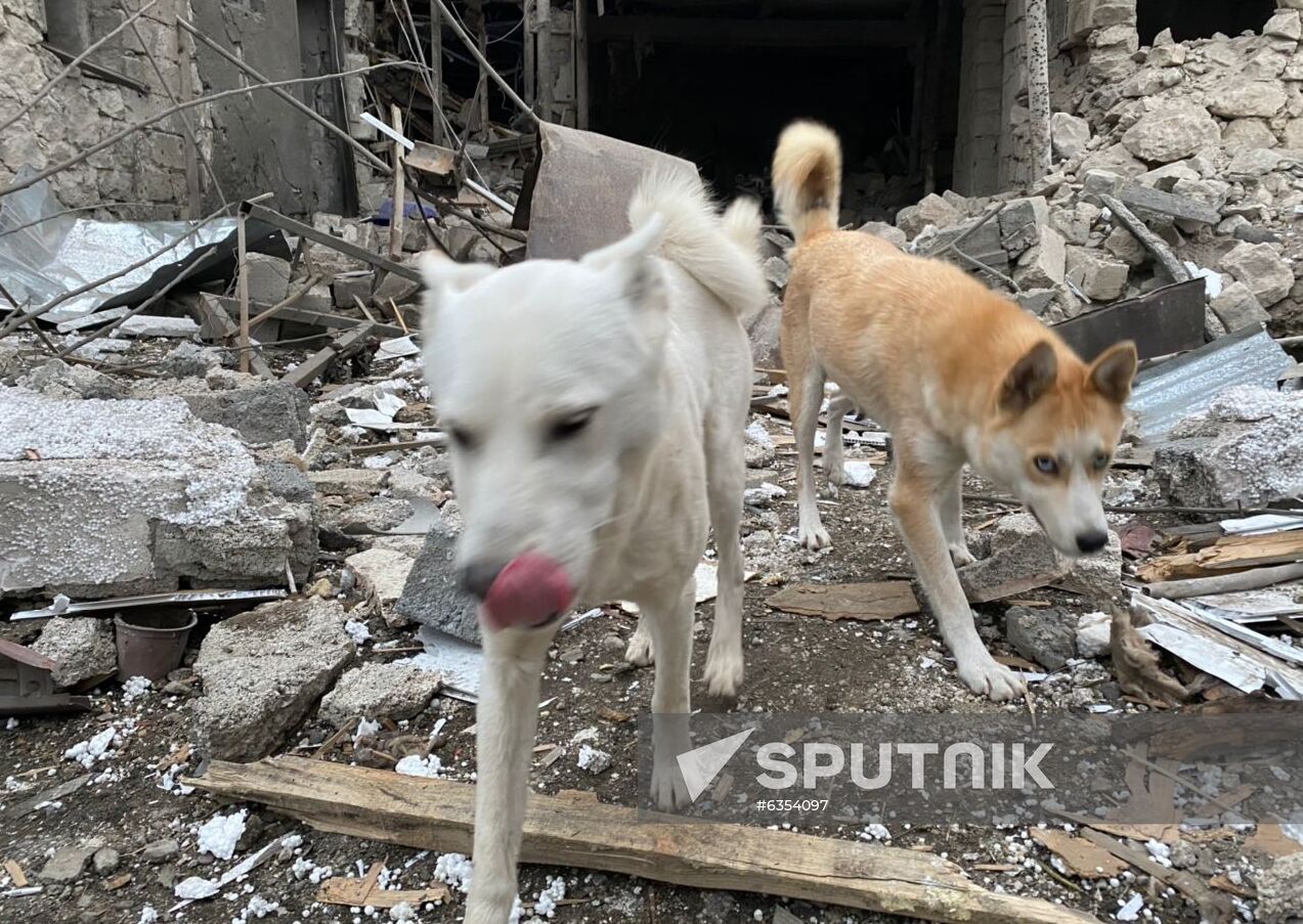 Azerbaijan Armenia Escalation