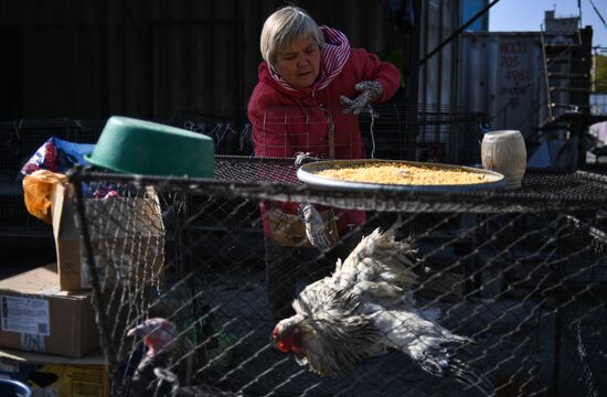 Kyrgyzstan State Of Emergency