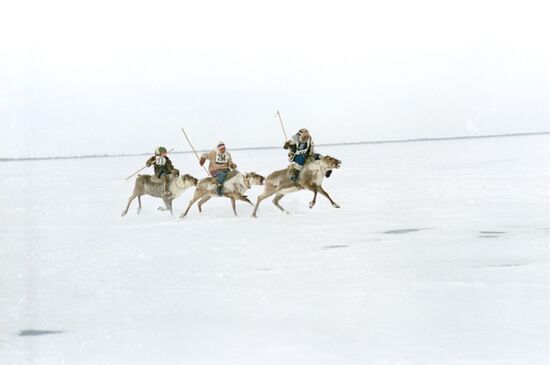 Traditional Yakutian reindeer race