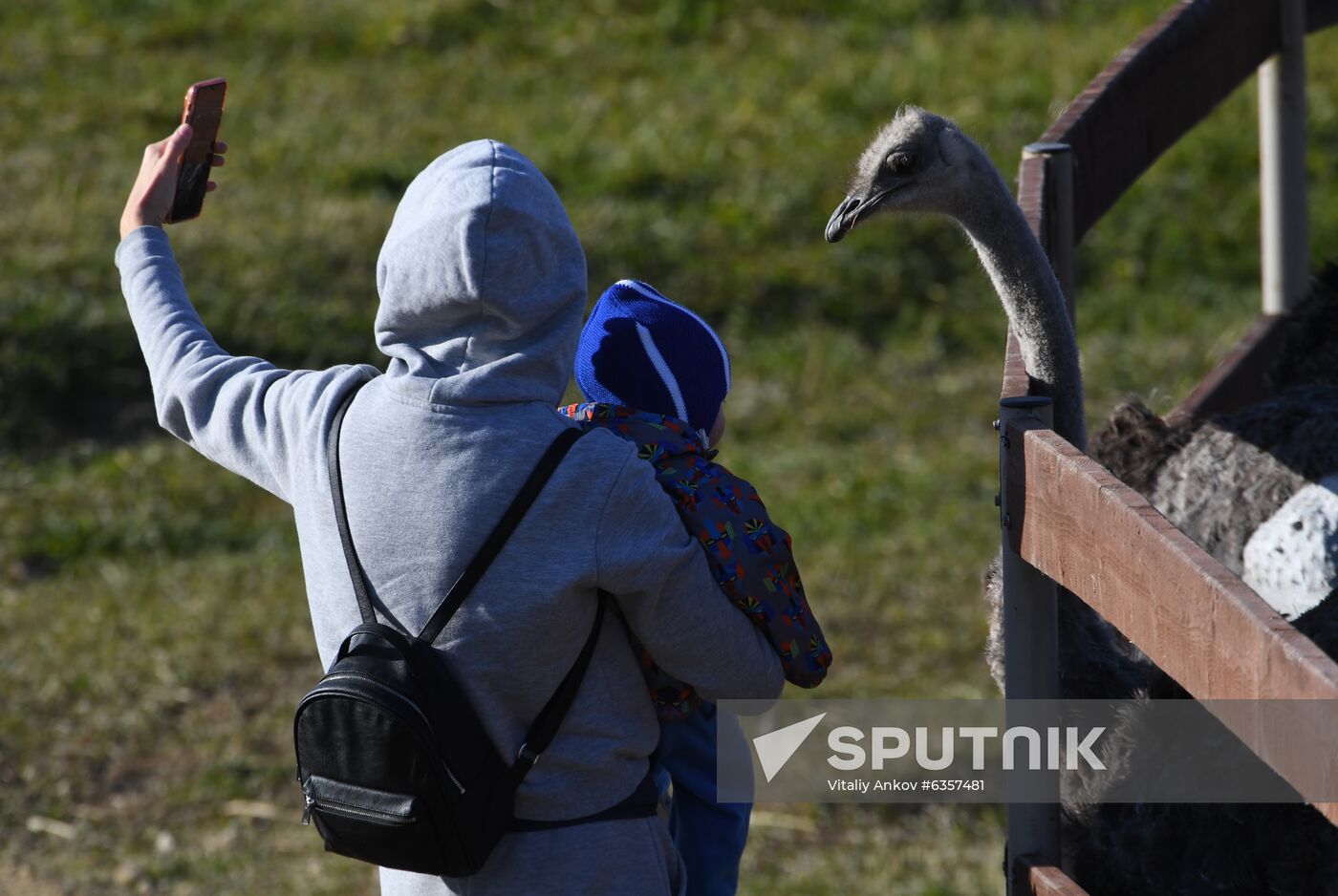 Russia Zoo