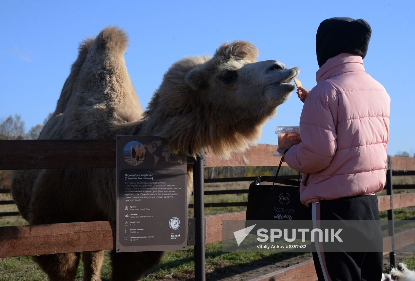 Russia Zoo