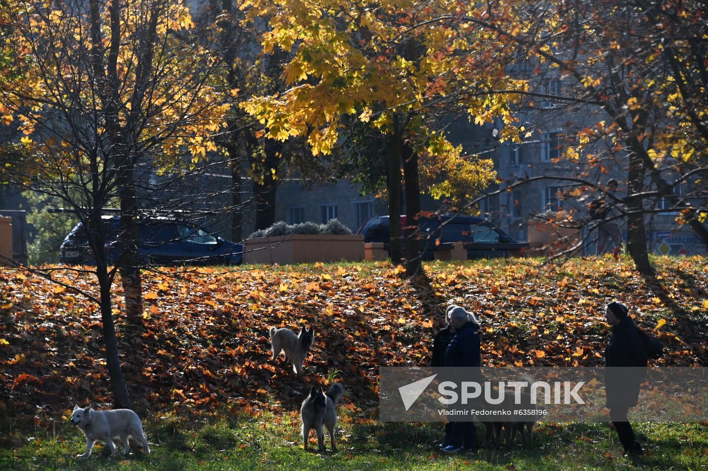 Russia Autumn