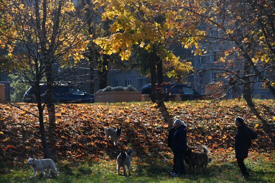 Russia Autumn