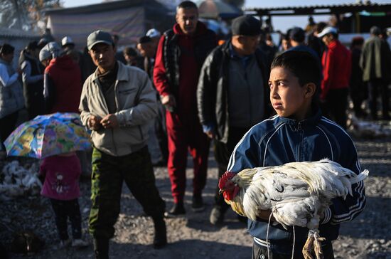 Kyrgyzstan Daily Life