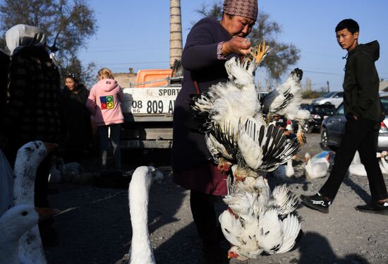 Kyrgyzstan Daily Life