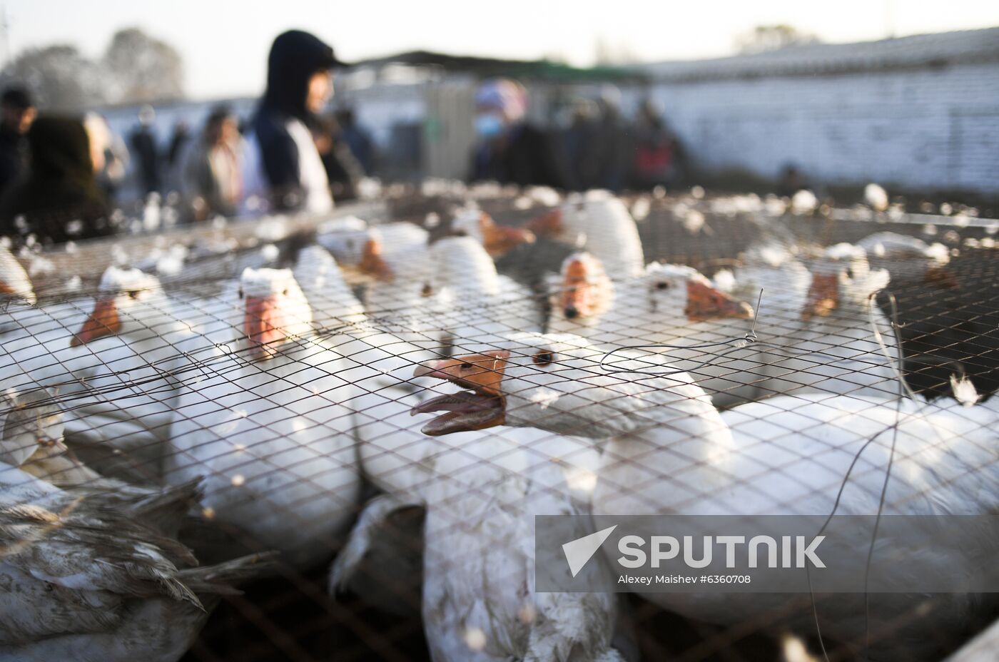 Kyrgyzstan Daily Life