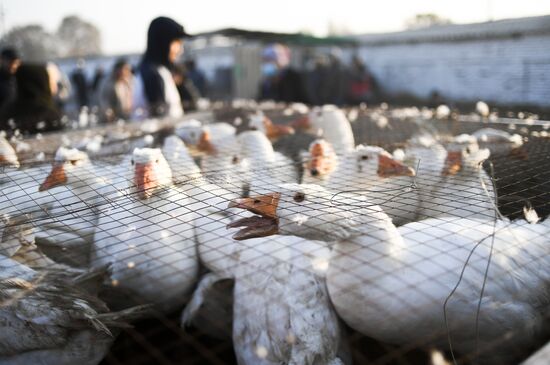 Kyrgyzstan Daily Life