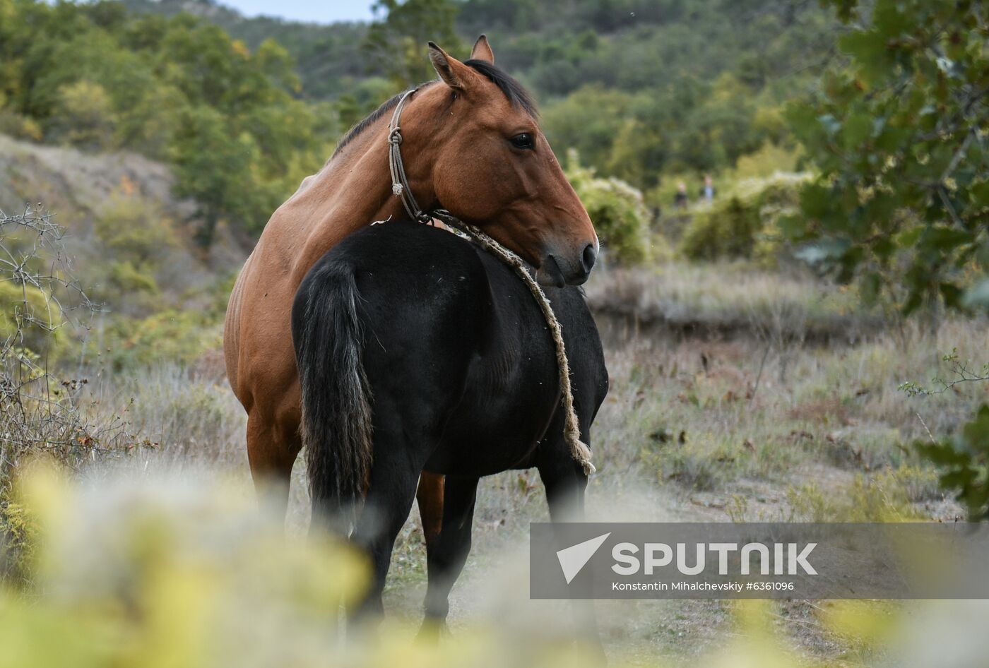 Russia Crimea Daily Life