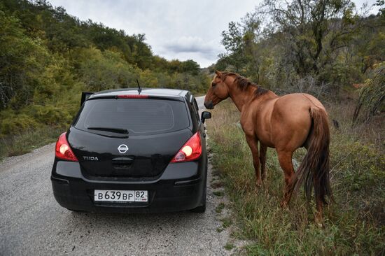 Russia Crimea Daily Life