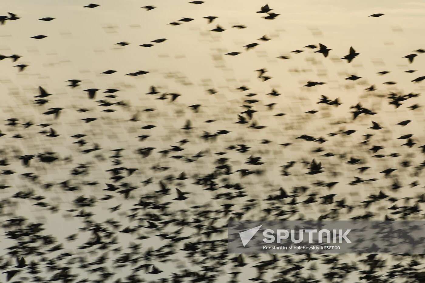 Russia Crimea Daily Life