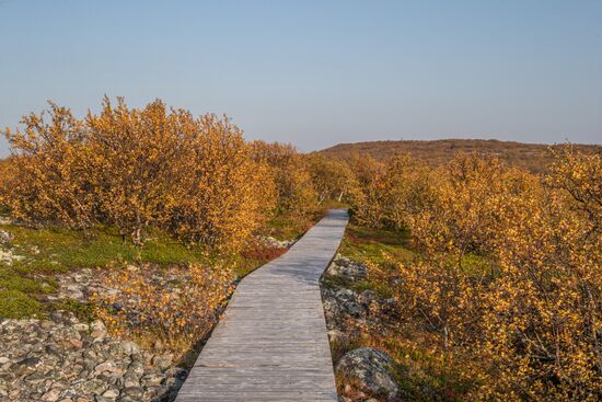 Solovetsky Historical-Architectural Museum-Reserve