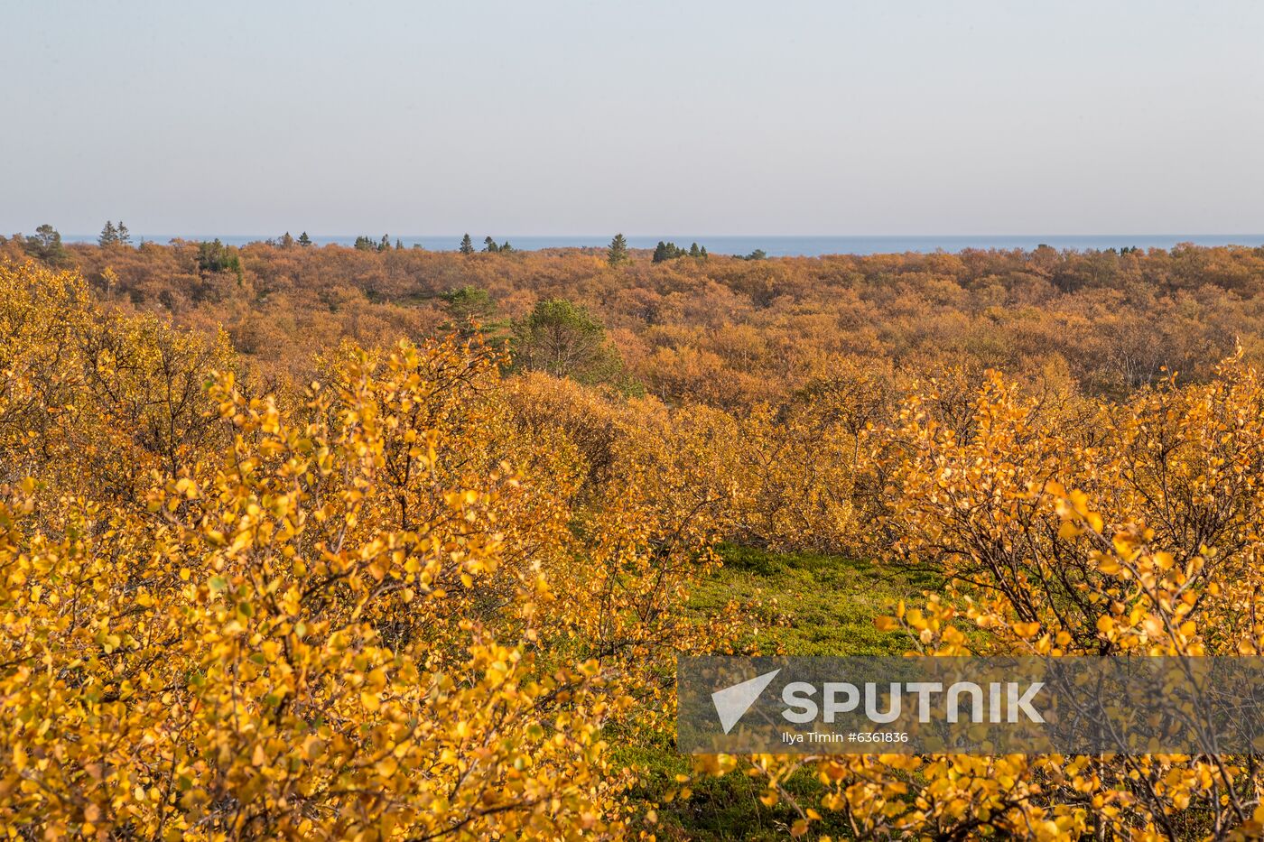 Solovetsky Historical-Architectural Museum-Reserve