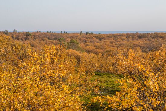Solovetsky Historical-Architectural Museum-Reserve