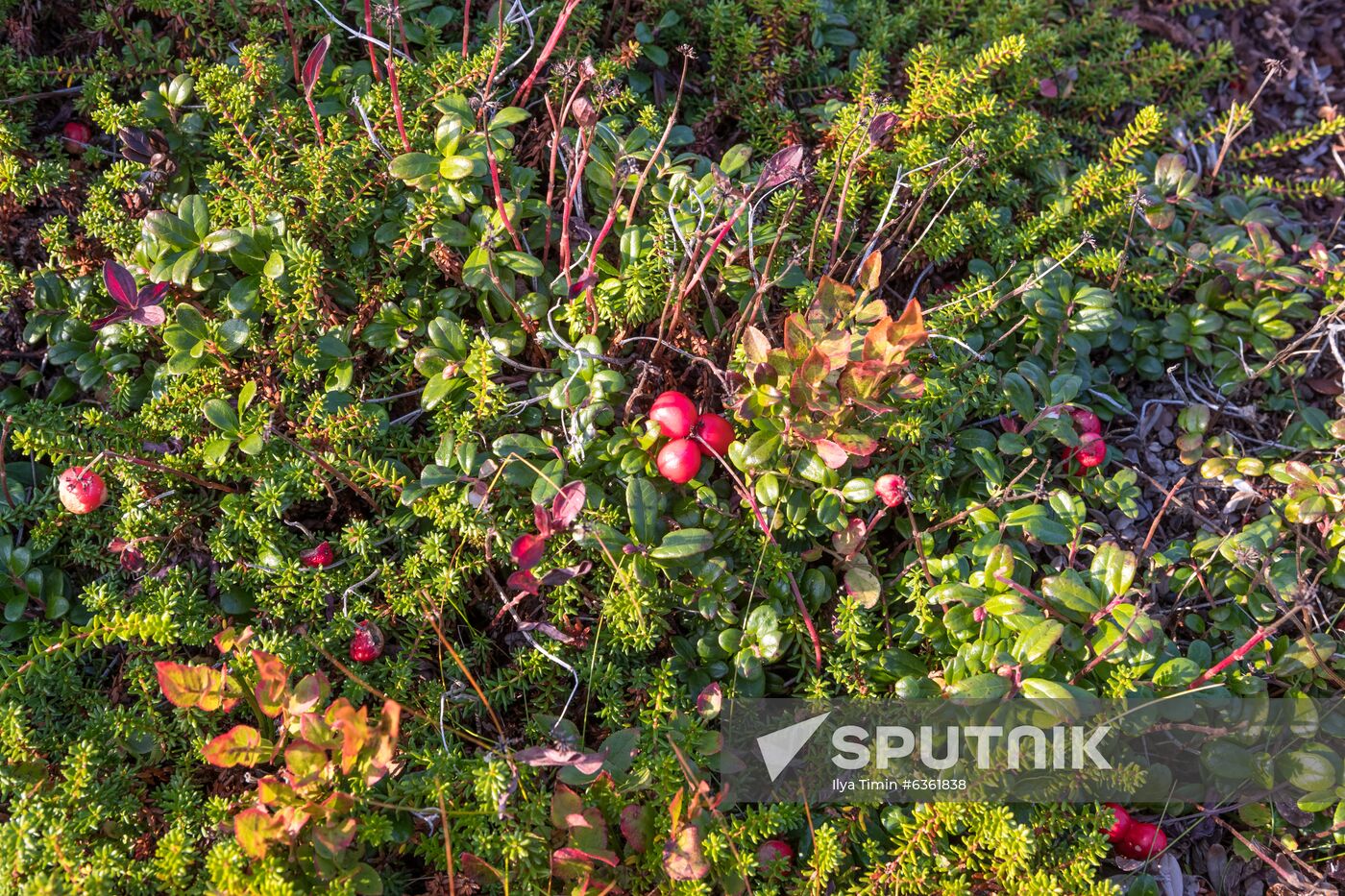 Solovetsky Historical-Architectural Museum-Reserve