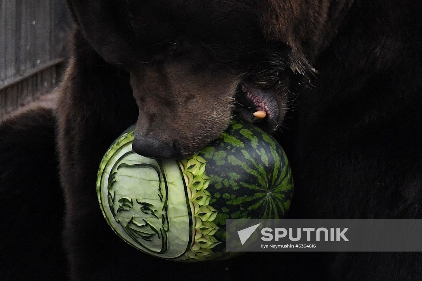 Russia US Presidential Election Prediction