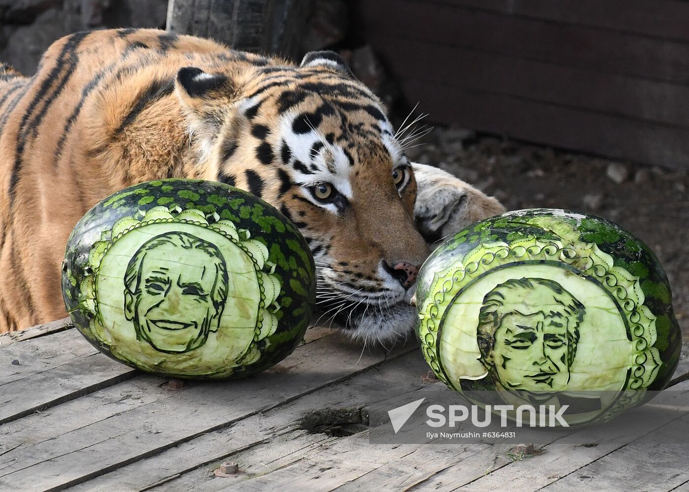 Russia US Presidential Election Prediction