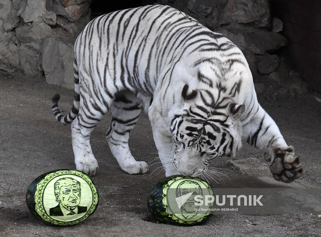 Russia US Presidential Election Prediction