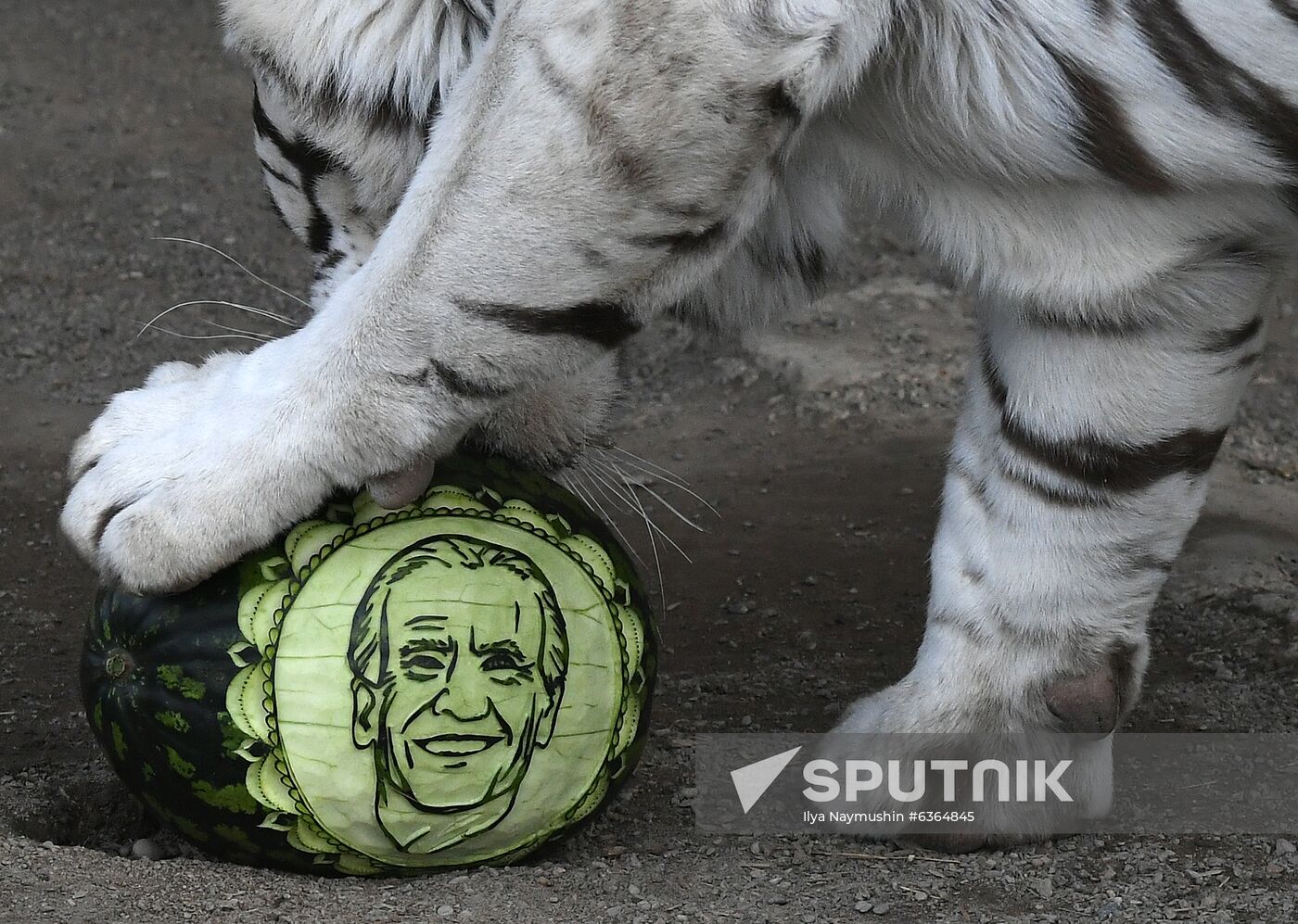 Russia US Presidential Election Prediction