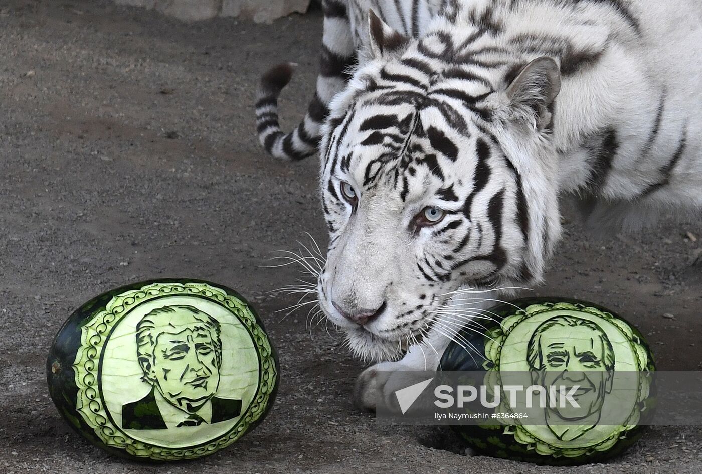 Russia US Presidential Election Prediction