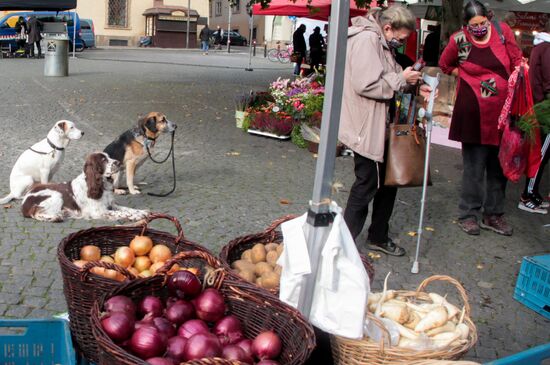 Czech Republic Coronavirus Lockdown