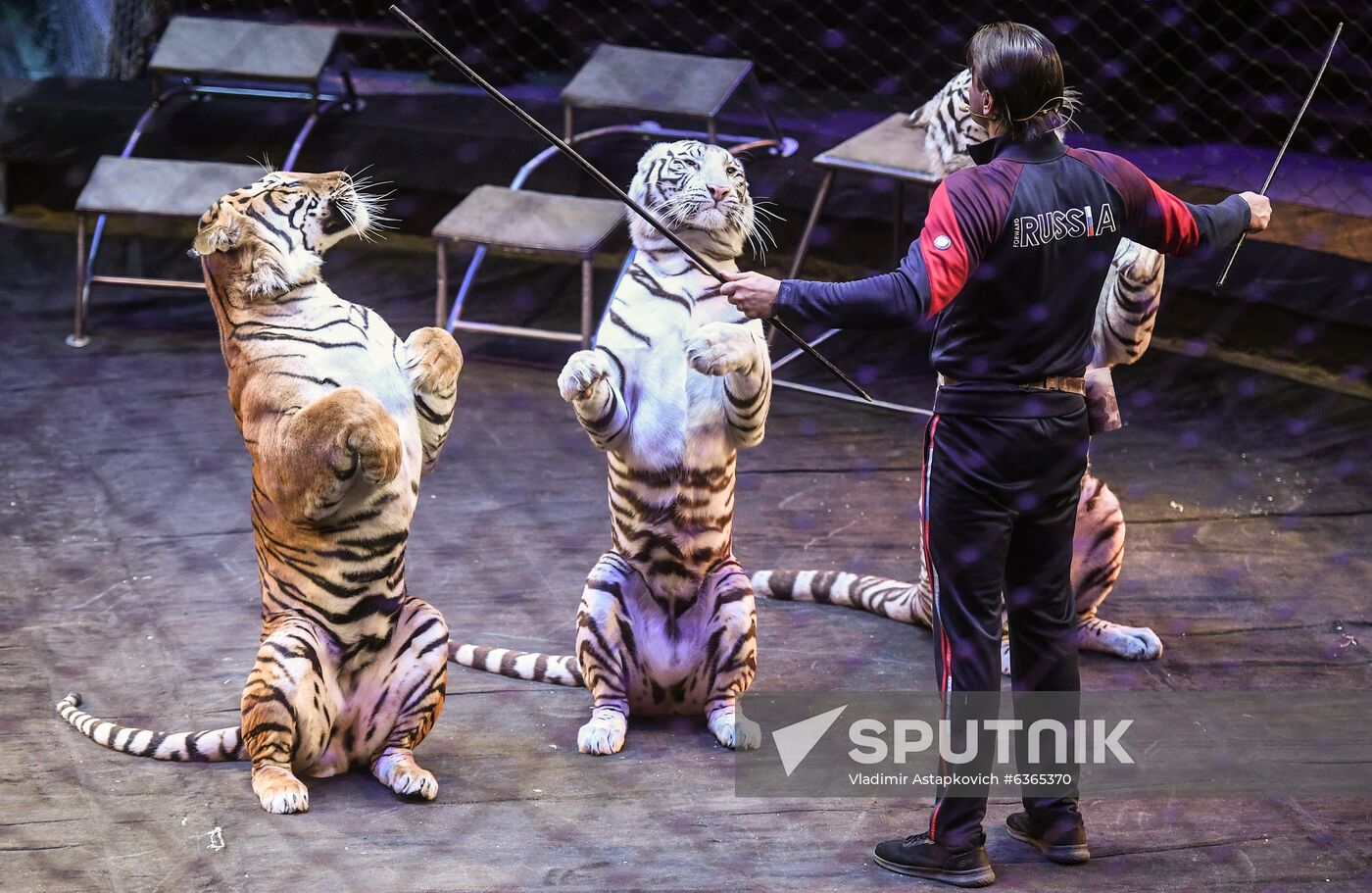 Russia Circus Rehearsal