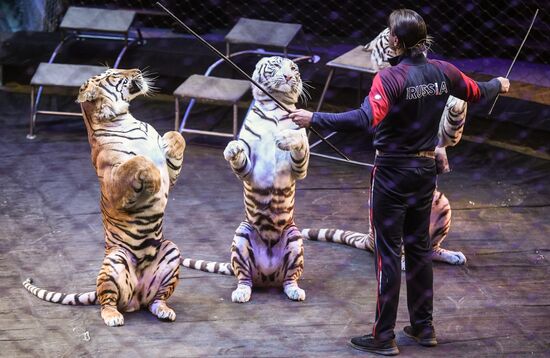 Russia Circus Rehearsal
