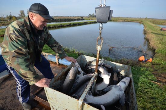 Belarus Fish Farm