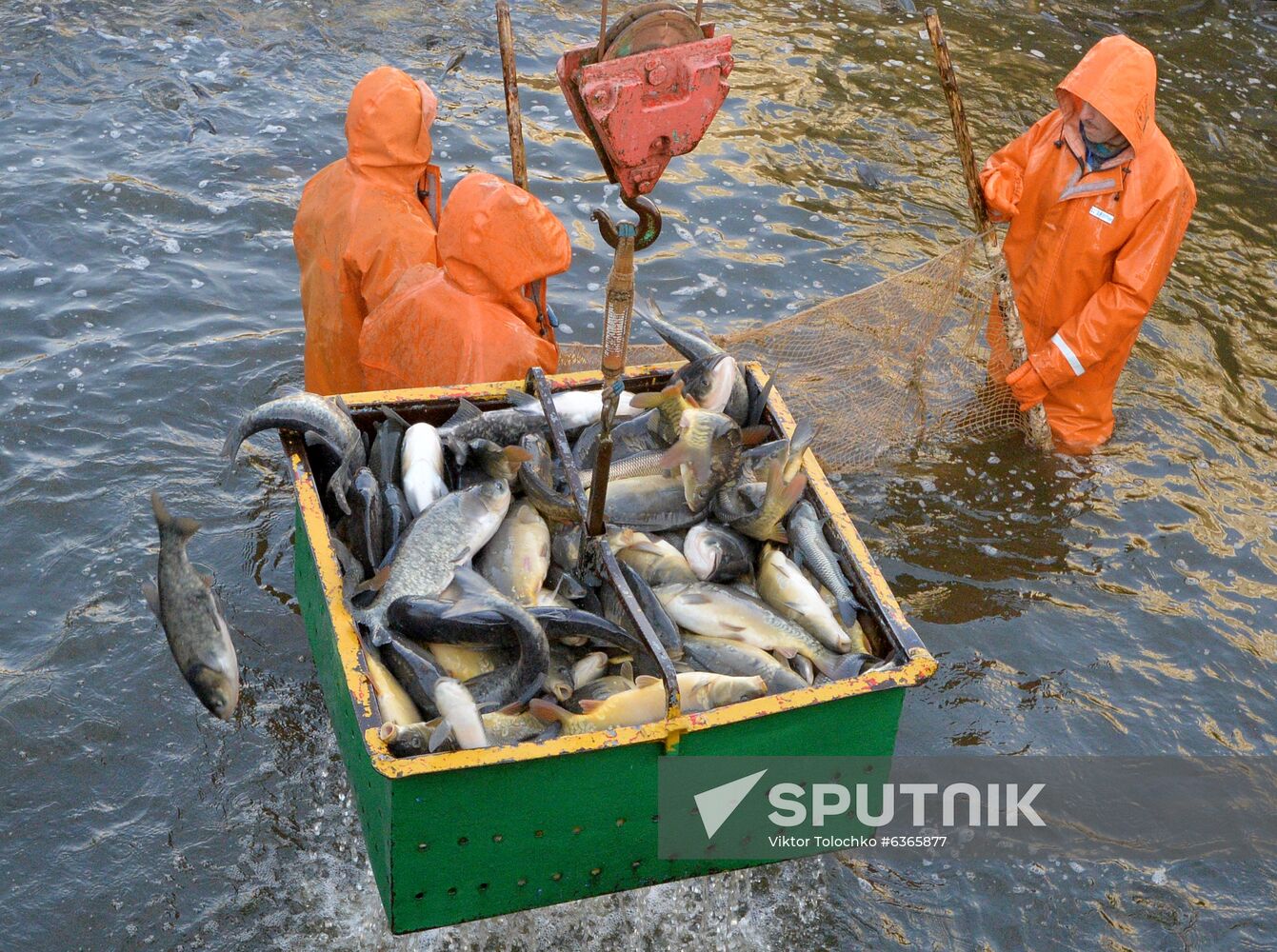 Belarus Fish Farm