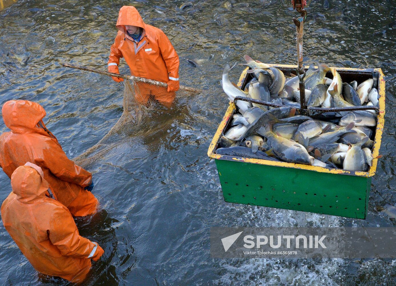 Belarus Fish Farm