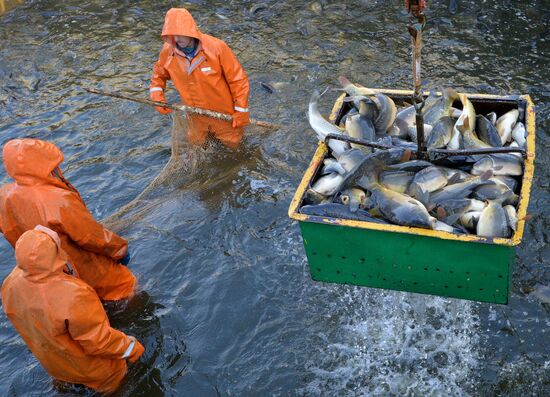 Belarus Fish Farm