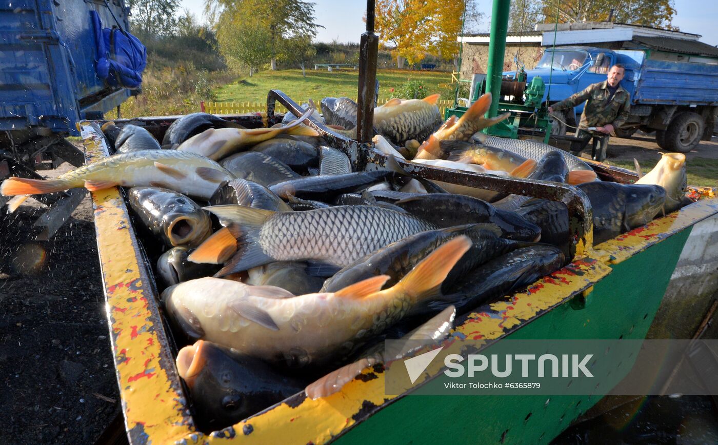 Belarus Fish Farm