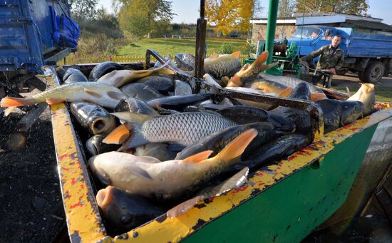 Belarus Fish Farm