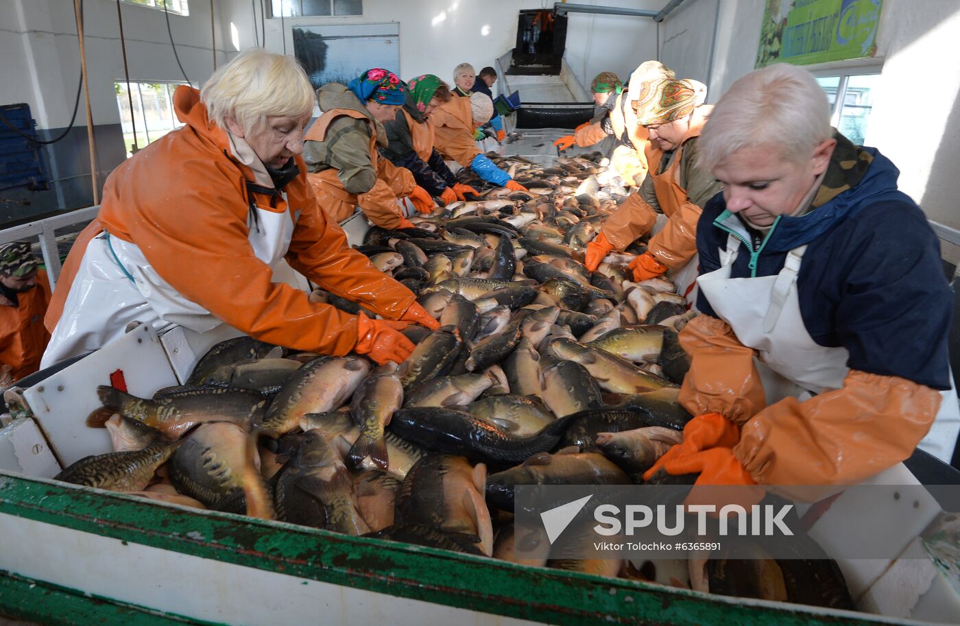 Belarus Fish Farm