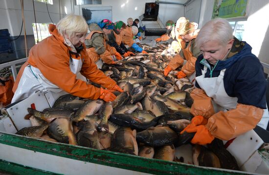 Belarus Fish Farm