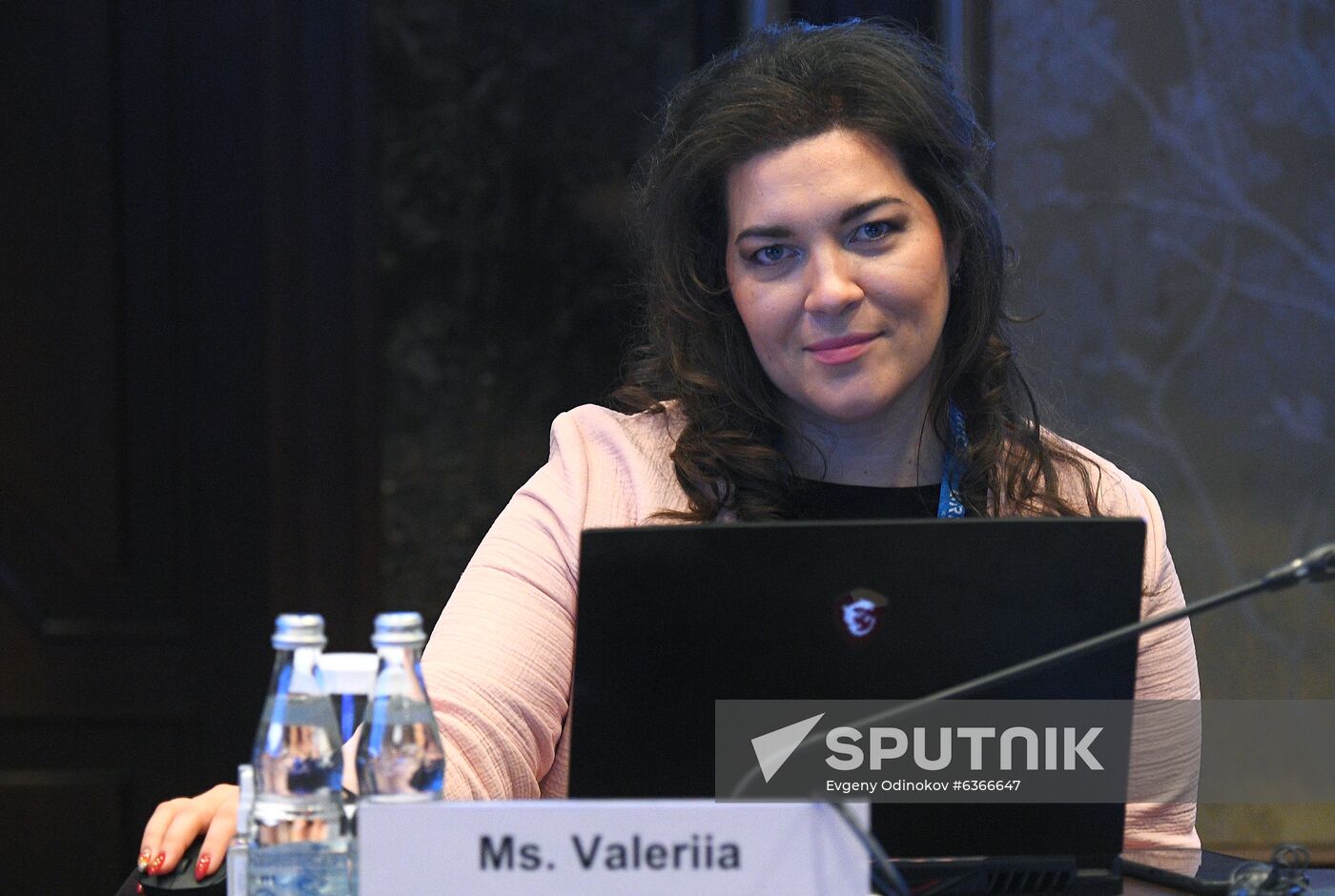 BRICS Academic Forum. Day three