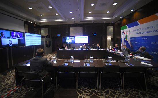 BRICS Academic Forum. Day three