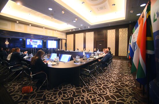 BRICS Academic Forum. Day three