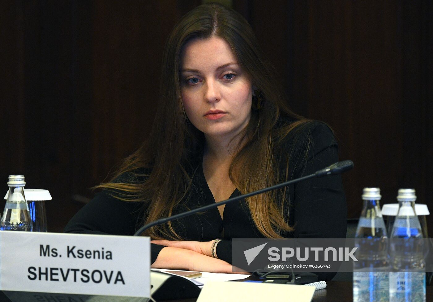 BRICS Academic Forum. Day three