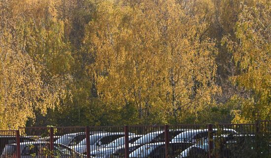 Russia Autumn