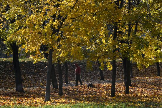 Russia Autumn