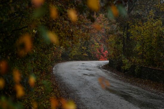 Autumn in Crimea
