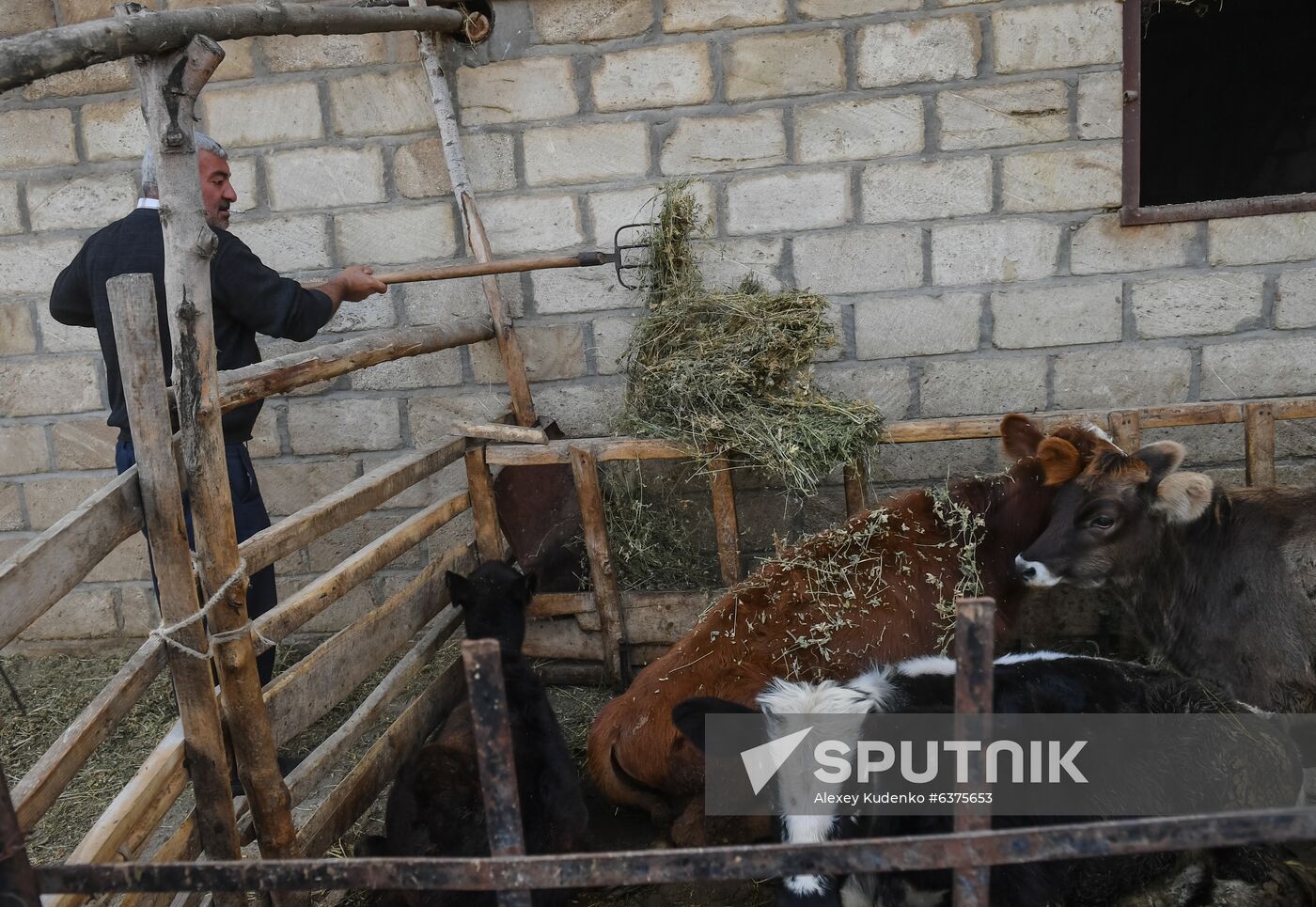 Azerbaijan Armenia Escalation