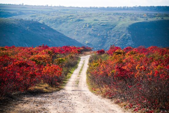 Moldova Daily Life